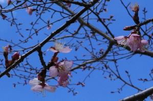 20130501-2-1