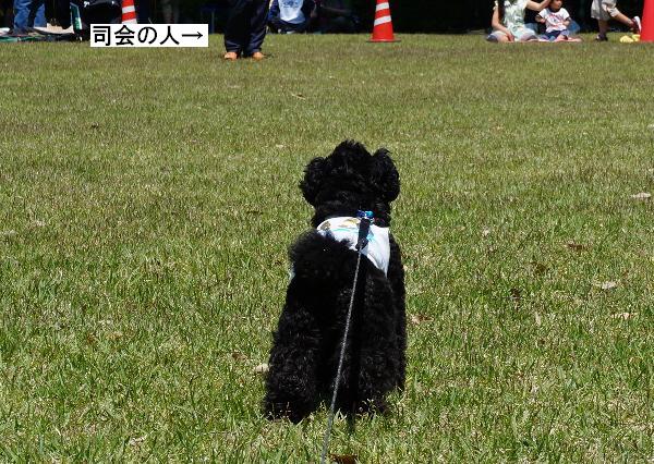 20130505-15
