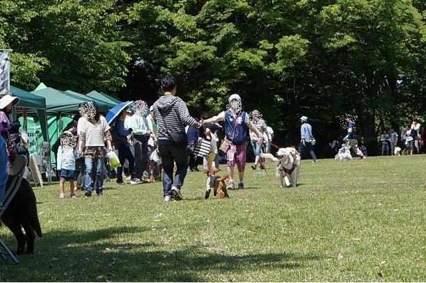 20130505-2