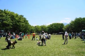 20130505-3-2