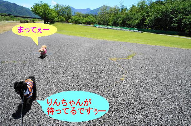 20130512-4