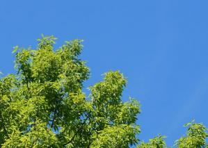 20130512-5-2