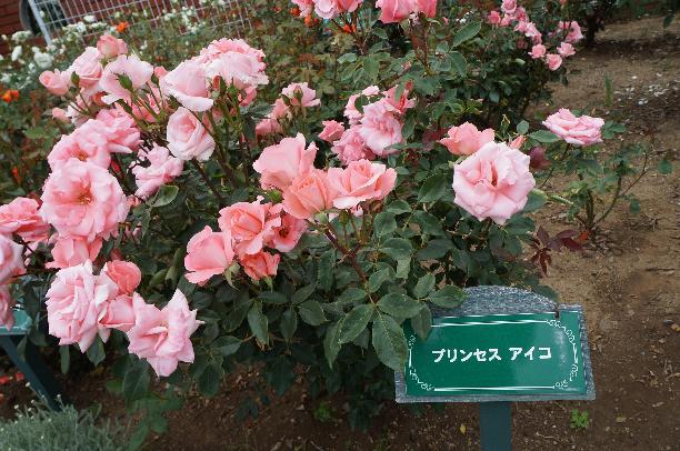 20130519-11