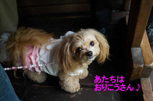 20130525-32