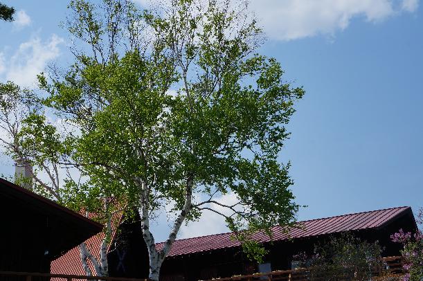 20130525-35