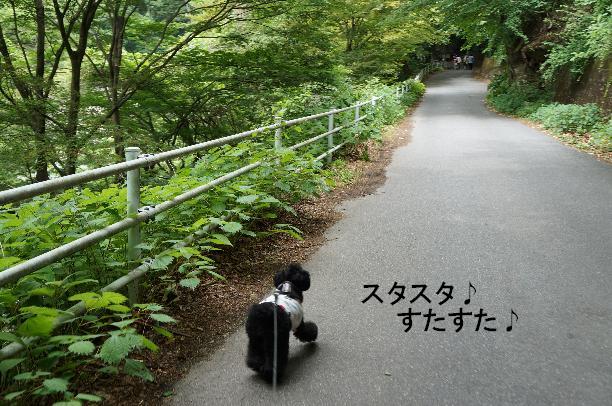 20130601-13