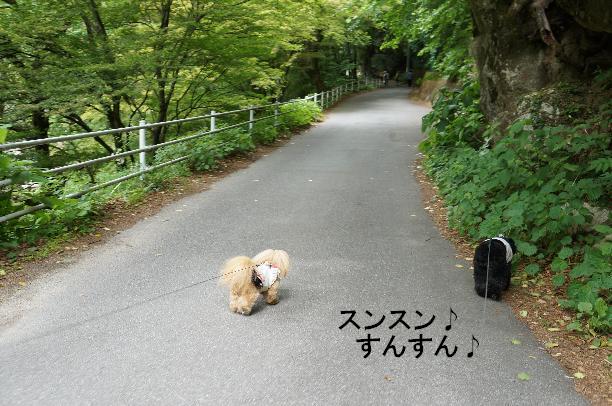 20130601-15