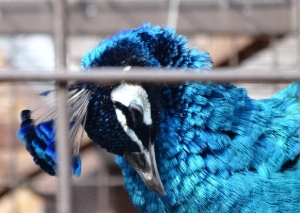 20140130-14