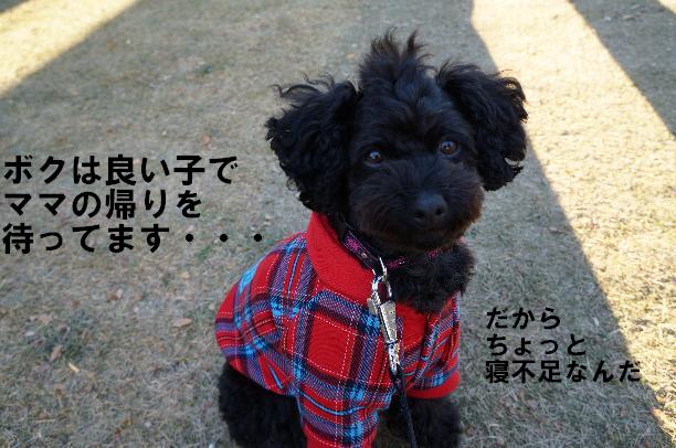 20140208