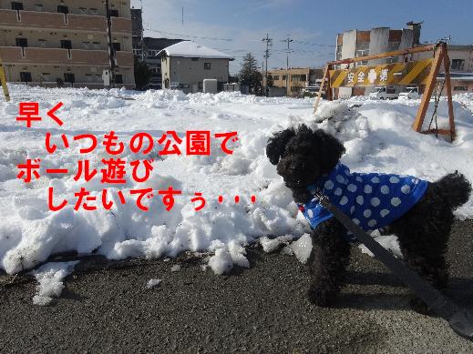 20140211-8
