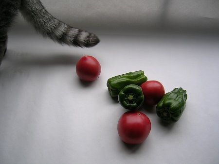 猫と野菜_ピーマンとトマトと猫のさくら_Kotechai_450x_DSCN7468