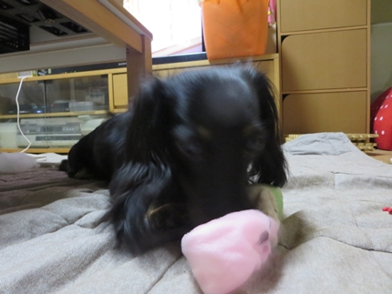 IMG_1021_2.jpg