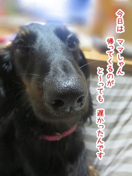 IMG_1028_1.jpg