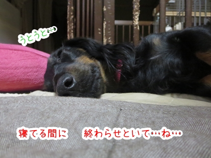 IMG_1031_5.jpg
