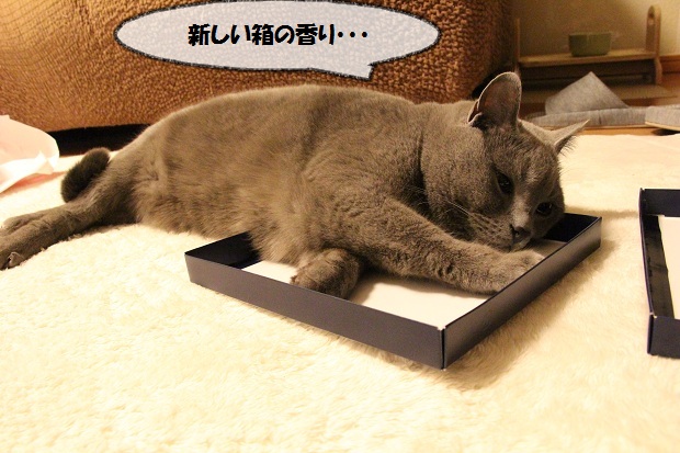 20130316.jpg