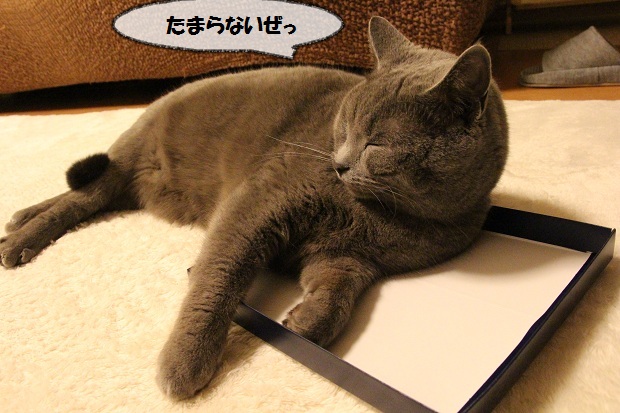 201303161.jpg