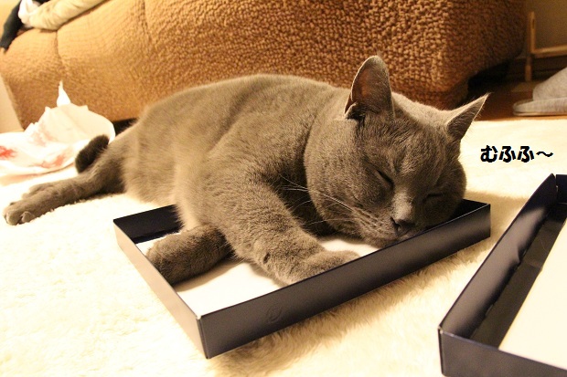 201303162.jpg