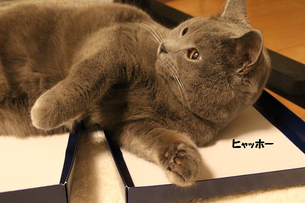 201303163.jpg
