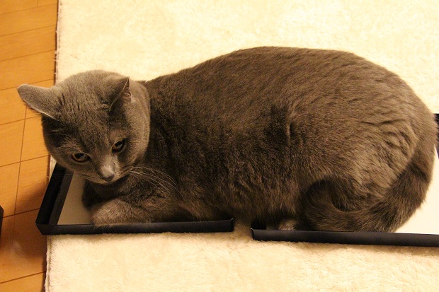 201303165.jpg