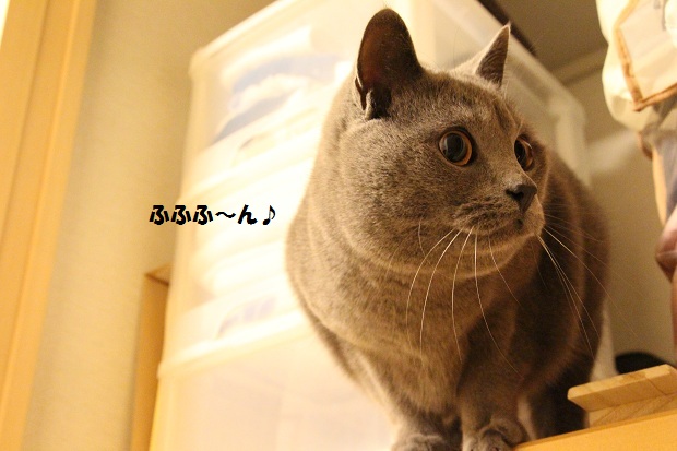 20130410.jpg