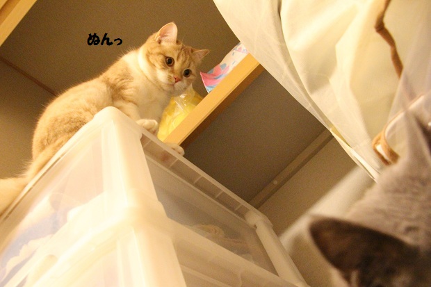 201304101.jpg