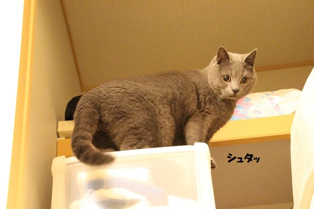 201304104.jpg
