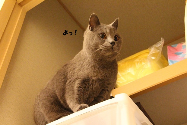 201304105.jpg