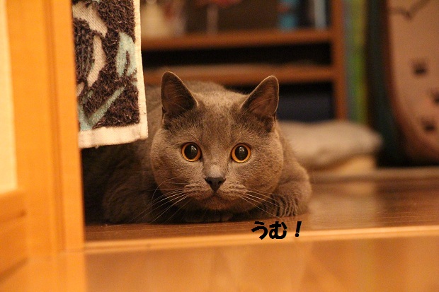 201304106.jpg