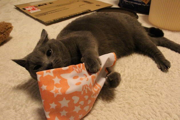 20130415.jpg