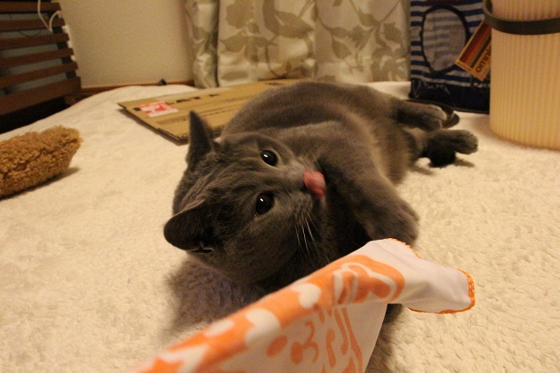 201304151.jpg
