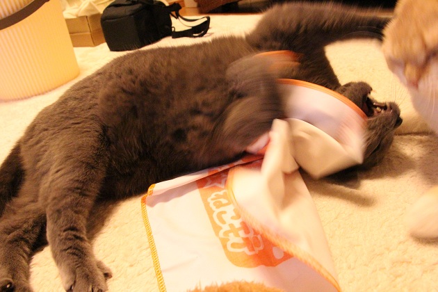 201304152.jpg