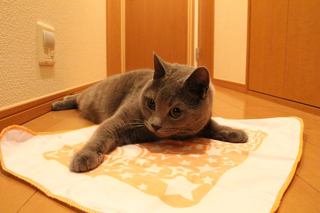 201304157.jpg