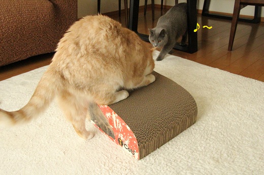 201304221.jpg