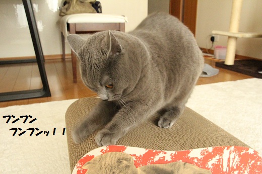 201304223.jpg
