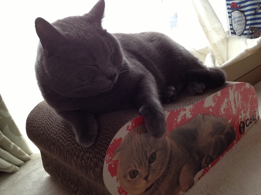 201304224.jpg