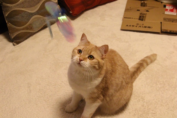 20130428.jpg