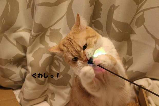 201304281.jpg