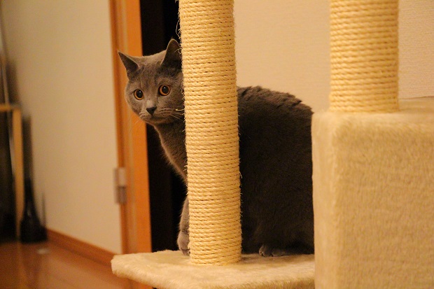 201304282.jpg