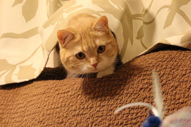 201304283.jpg