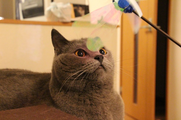 201304285.jpg