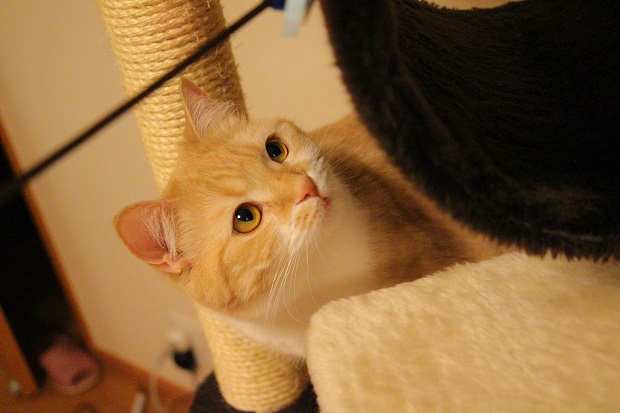 201304288.jpg