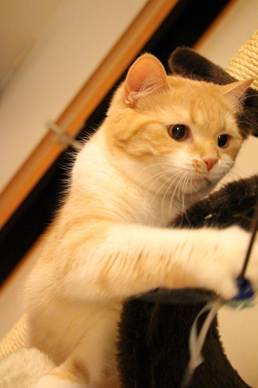 201304289.jpg