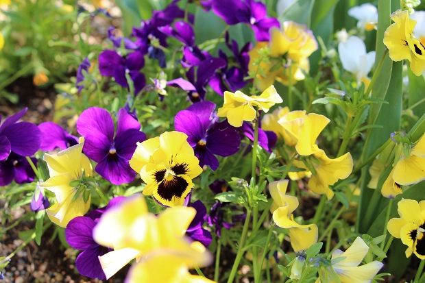 20130429.jpg