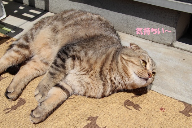201304291.jpg