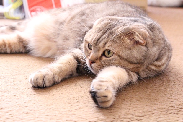 201304292.jpg