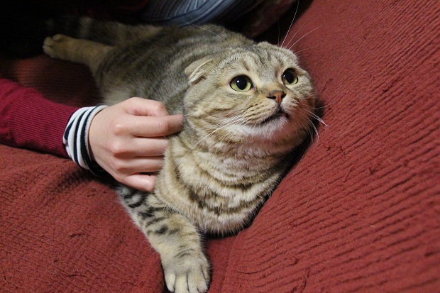 201304294.jpg
