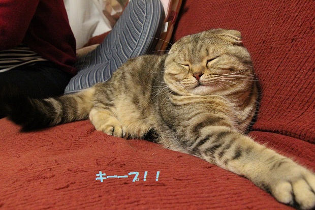 201304295.jpg