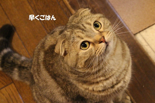 201304296.jpg