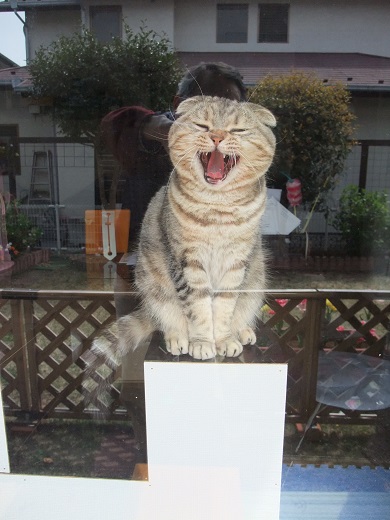 201304298.jpg