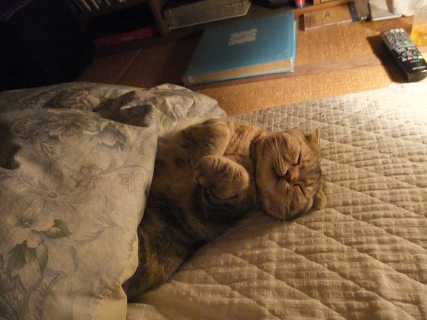 201304299.jpg
